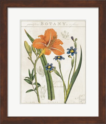 Framed Vintage Flora II Ivory Print