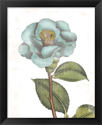 Framed Bloemen Boek V on White Print