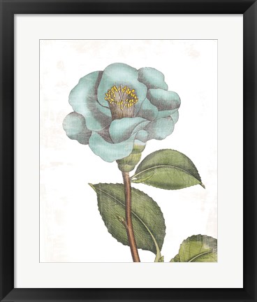 Framed Bloemen Boek V on White Print