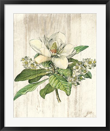 Framed Magnolia de Printemps no Words Print