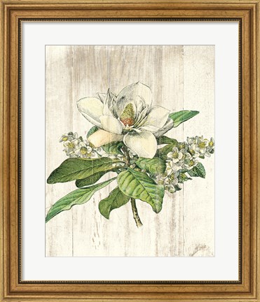 Framed Magnolia de Printemps no Words Print