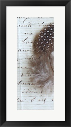 Framed Plume Feathers V Crop II Print