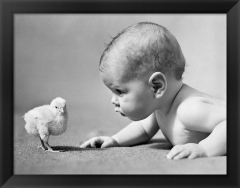 Framed 1930s Human Baby Face To Face With Baby Chick Print