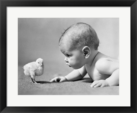 Framed 1930s Human Baby Face To Face With Baby Chick Print