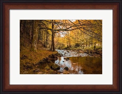 Framed Black Forest River Print