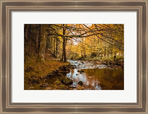 Framed Black Forest River Print