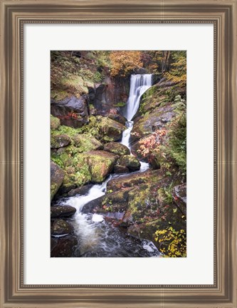 Framed Black Forest Upper Falls Print