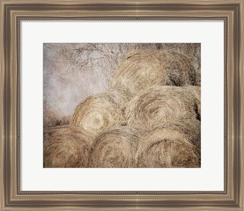 Framed Round Bales Print