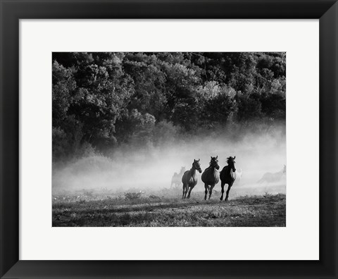 Framed Horse country Print