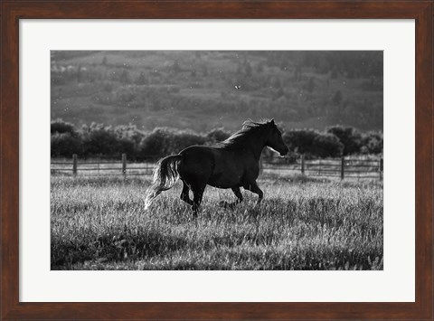 Framed Going Home Print