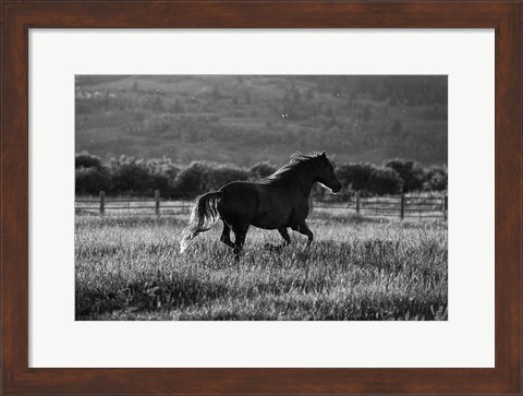 Framed Going Home Print