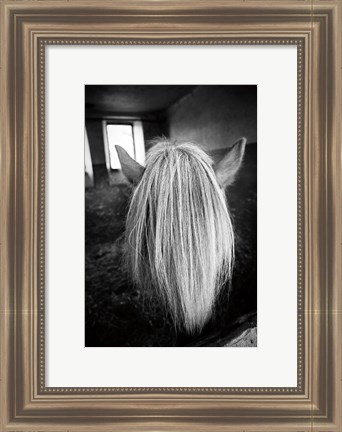 Framed Beauty Print