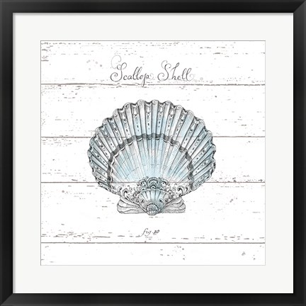 Framed Aqua Underwater Life VIII Shiplap Print