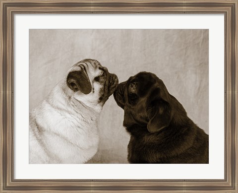 Framed Pooch Smooch Print