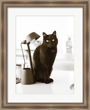 Framed Lights Cat Action Print