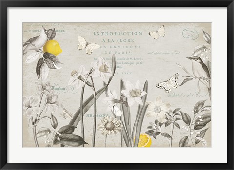 Framed Citron Curiosities I Gray Print