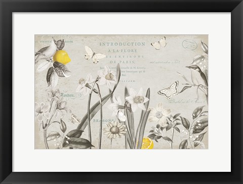 Framed Citron Curiosities I Gray Print