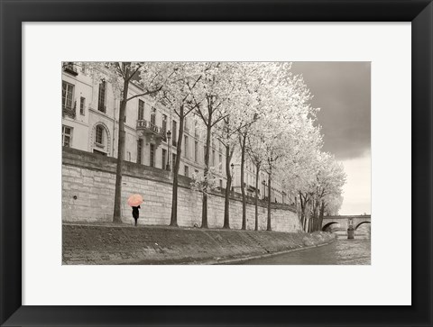 Framed Paris in the Rain III Print