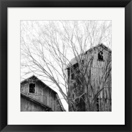 Framed Barn Windows Print