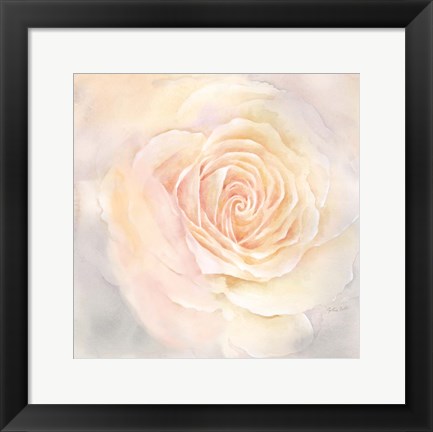 Framed Blush Rose Closeup III Print