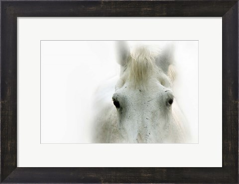 Framed Blanco Print