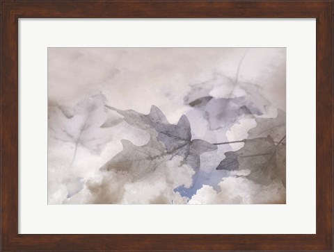 Framed Shadow Leaves Print