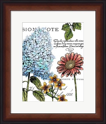 Framed Botanical Postcard Color I Print