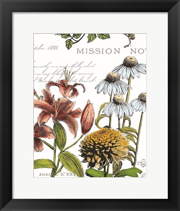 Framed Botanical Postcard Color II Print