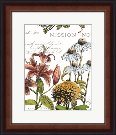 Framed Botanical Postcard Color II Print