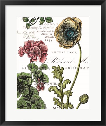 Framed Botanical Postcard Color III Print