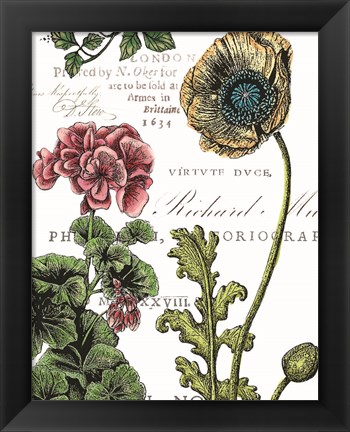 Framed Botanical Postcard Color III Print