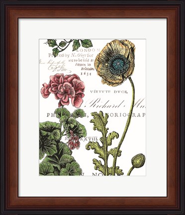 Framed Botanical Postcard Color III Print