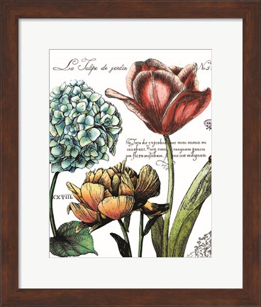 Framed Botanical Postcard Color IV Print