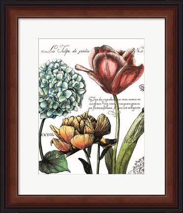 Framed Botanical Postcard Color IV Print