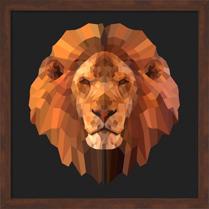 Framed Lion Print