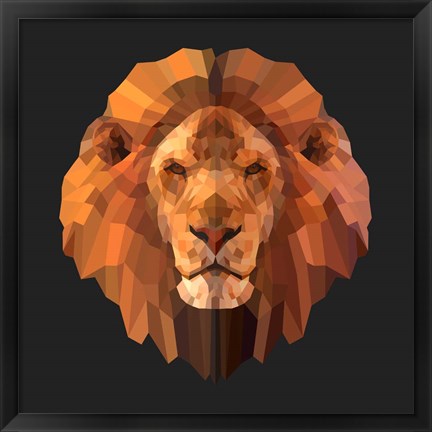 Framed Lion Print