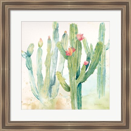 Framed Cactus Garden II Print