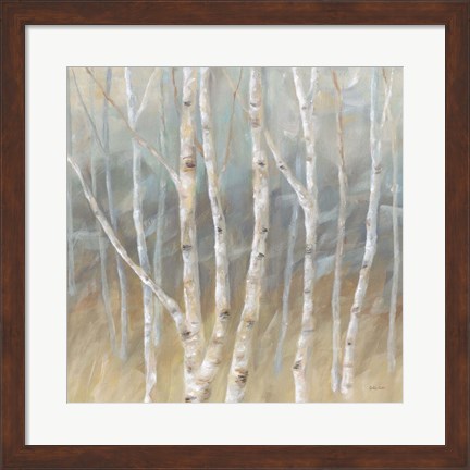 Framed Silver Birch Square Print