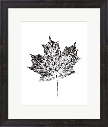 Framed Harvest Sentiments I BW no Words Print