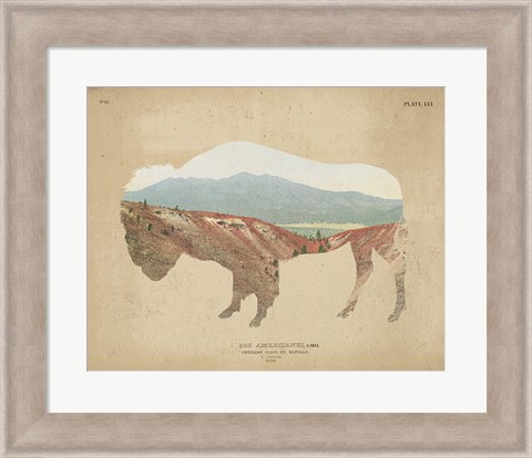 Framed American Southwest Buffalo Distressed Print