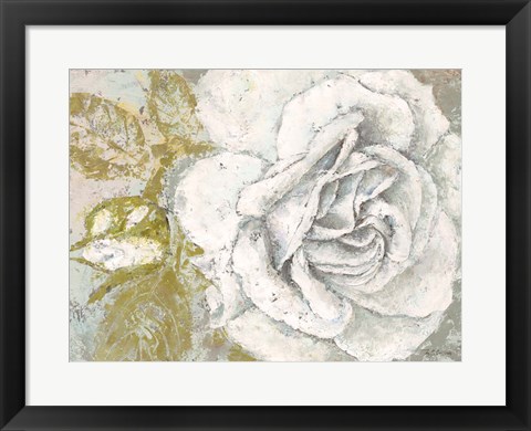 Framed White Rose Blossom Print