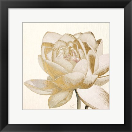 Framed Vintage Lotus Cream II Print