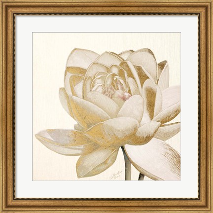 Framed Vintage Lotus Cream II Print