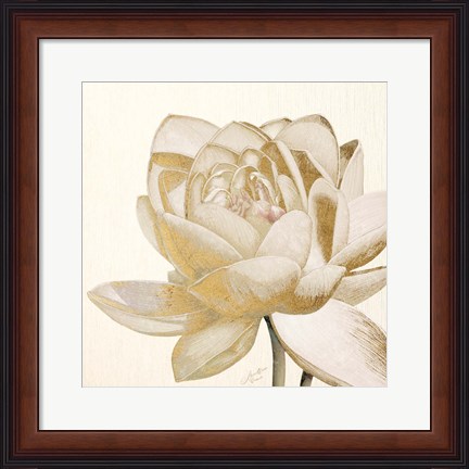 Framed Vintage Lotus Cream II Print