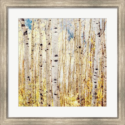 Framed Birch Grove Print