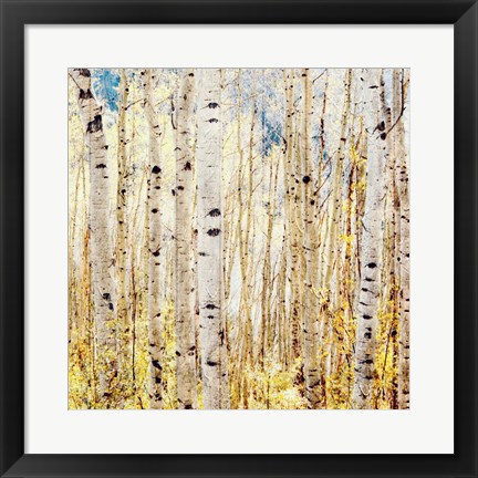 Framed Birch Grove Print