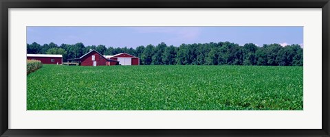 Framed Green Field with Barn, Maryland Print