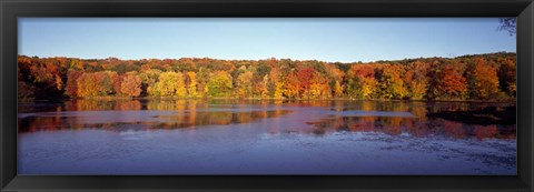 Framed Reflection of Trees and Plants in Water, Bergen County, New Jersey Print