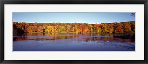 Framed Reflection of Trees and Plants in Water, Bergen County, New Jersey Print