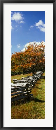 Framed Fence in a Park, Blue Ridge Parkway, Virginia Print